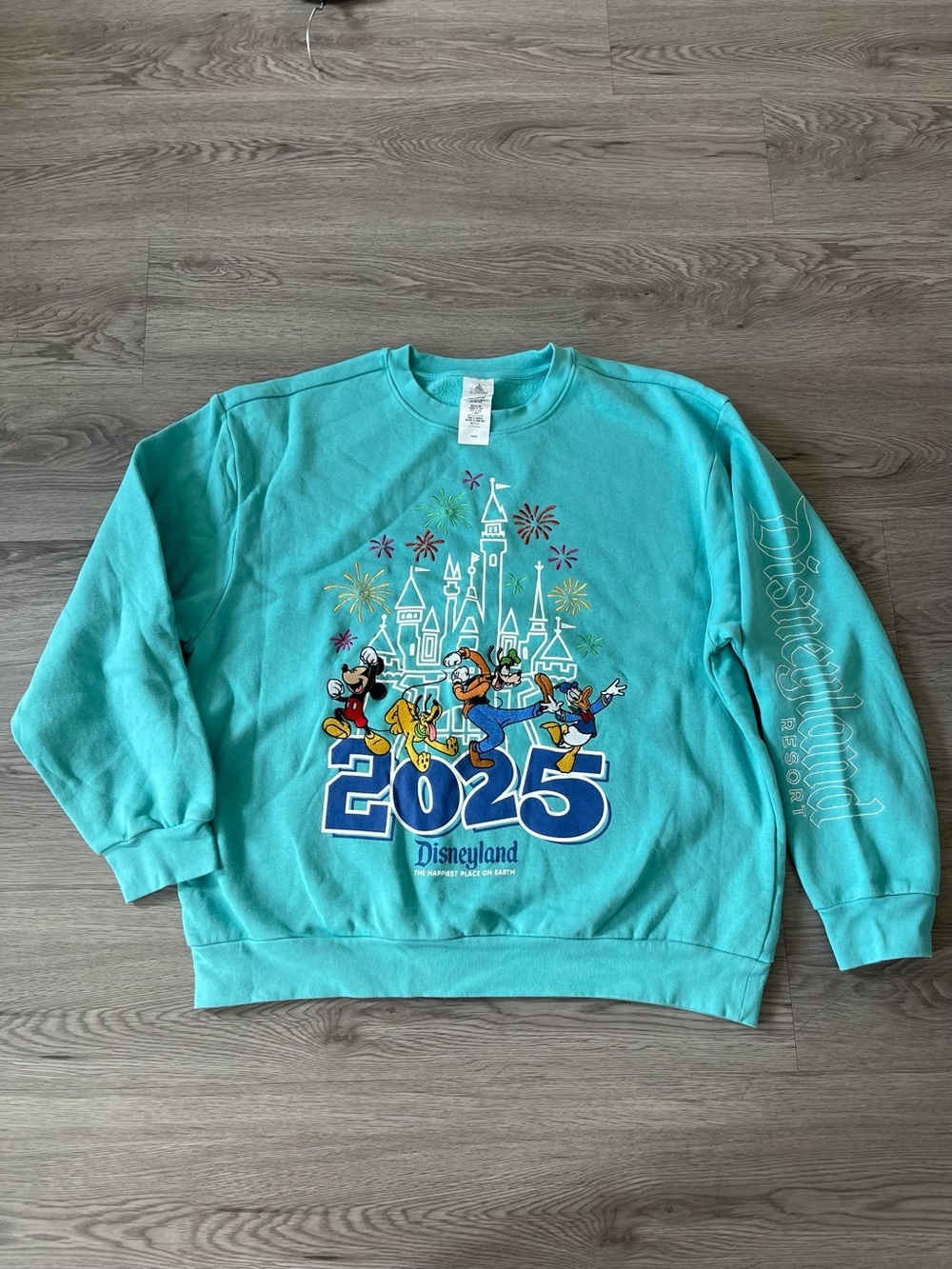 Disney Teal Crewneck Sweatshirt with Castle Logo